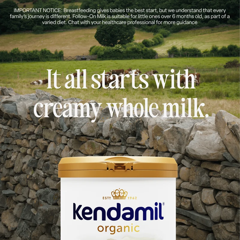 Organic Toddler Milk