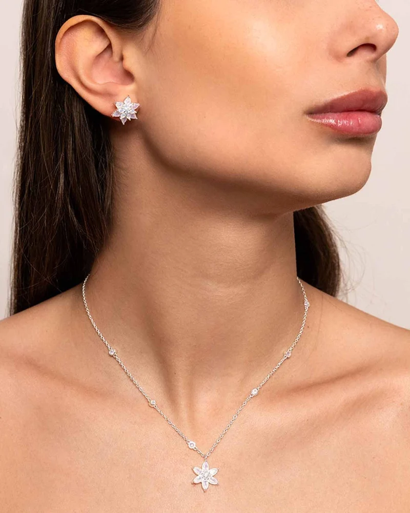 Set Waterlily Argento