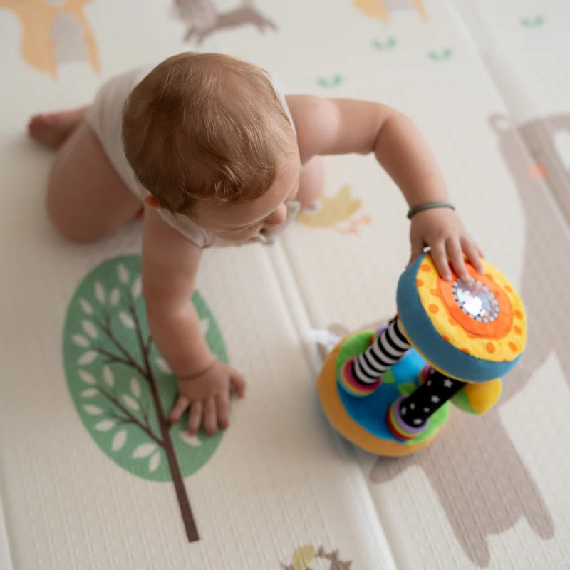 Il Mio Primo Sonaglione Multiattività