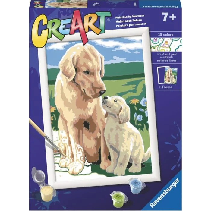 CreArt Serie D - Retriever sul Prato