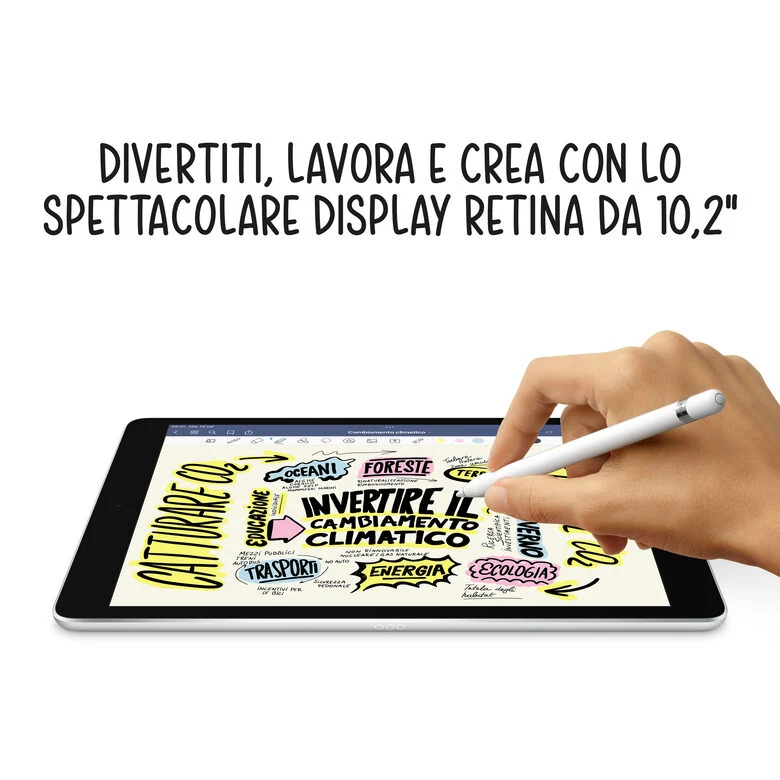 Apple iPad 10.2-inch Wi-Fi + Cellular 64GB - Grigio siderale