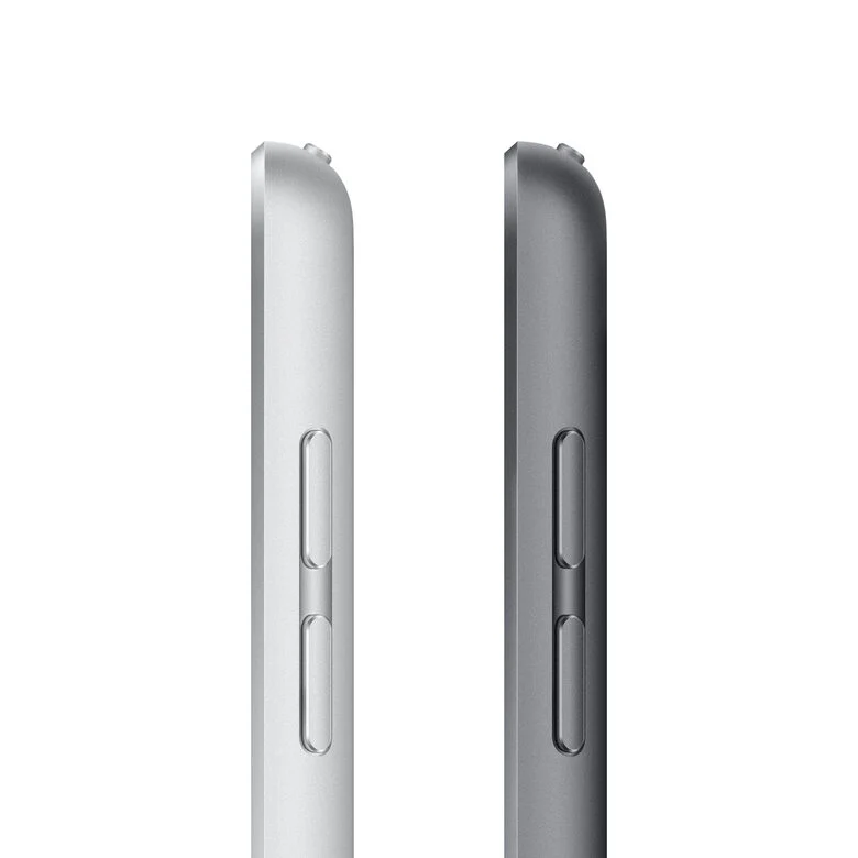 Apple iPad 10.2-inch Wi-Fi + Cellular 256GB - Grigio siderale