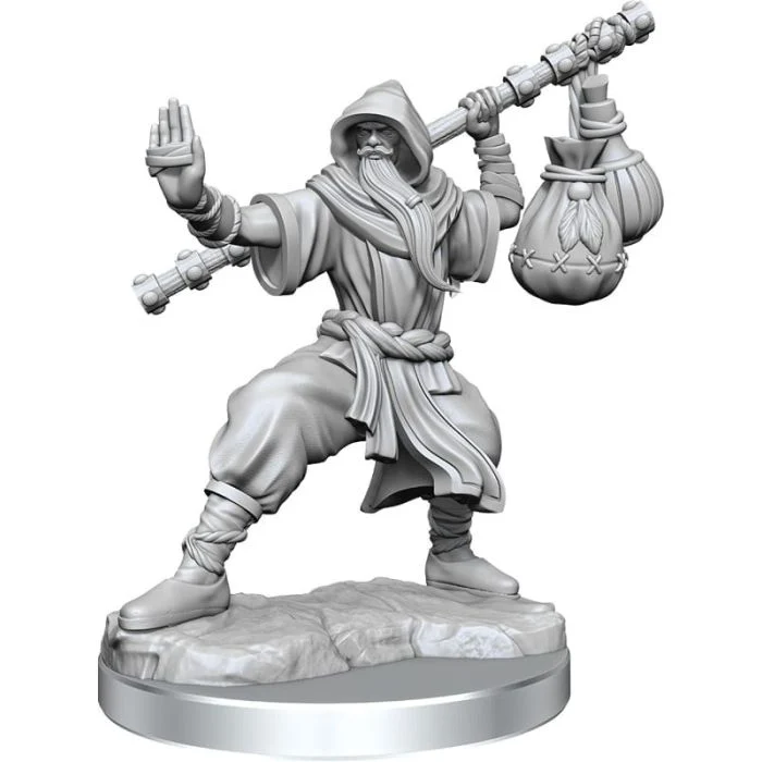Monaco Umano - Miniatura D&D Frameworks W01
