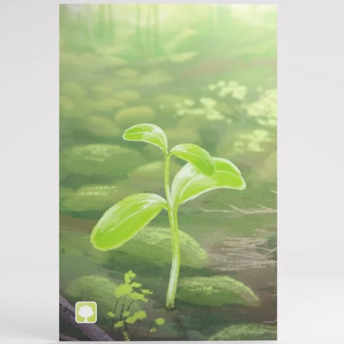 Forest Shuffle - Art Sleeves (185 Bustine)