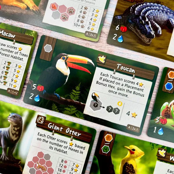 Life of the Amazonia