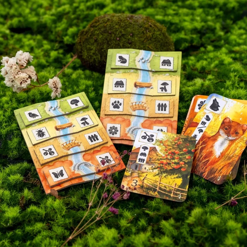 Meadow - Adventure Book - Espansione