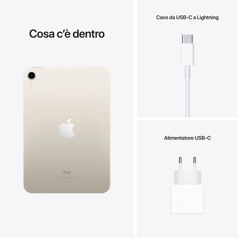 Apple iPad mini Wi-Fi 256GB - Galassia