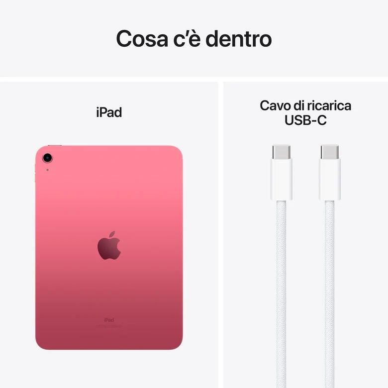 Apple iPad (10^gen.) 10.9 Wi-Fi 256GB - Rosa