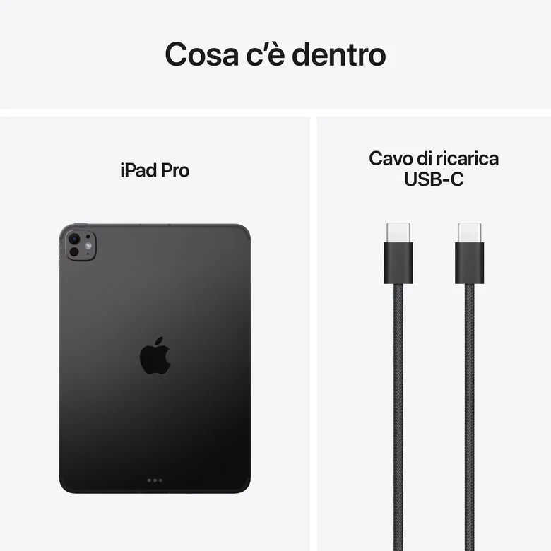 Apple iPad Pro 11" Wi‑Fi + Cellular 256GB display standard Nero Siderale