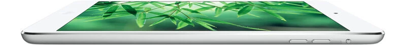 Apple iPad mini 2 3G 32 GB 20,1 cm (7.9") Wi-Fi 4 (802.11n) iOS Argento